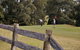Chateau Elan - thumb 19
