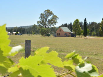 Madigan Wine Country Cottages - Accommodation Kalgoorlie 94