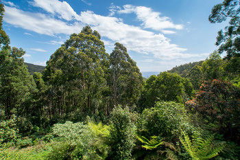 A Camelot Tower & Penthouse - Accommodation Kalgoorlie 46