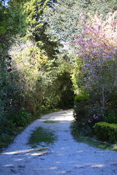 Hotel Avonleigh - Accommodation Kalgoorlie 15