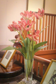 Hotel Avonleigh - Accommodation Kalgoorlie 30