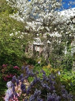 Hotel Avonleigh - Accommodation Kalgoorlie 62