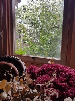 Hotel Avonleigh - Accommodation Kalgoorlie 64