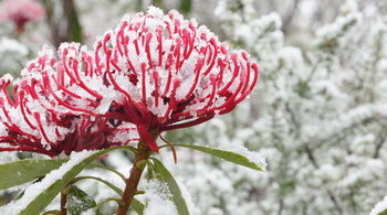 Valley Of The Waters B&B - Accommodation Kalgoorlie 12