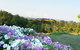 Wine Country Villas - thumb 27