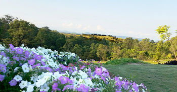 Wine Country Villas - Accommodation Kalgoorlie 27