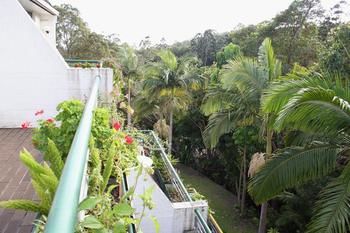 Palm Court Noosa - Accommodation Kalgoorlie 7