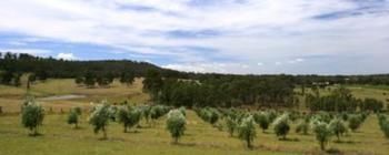 Hunter Homestead - Accommodation Kalgoorlie 7