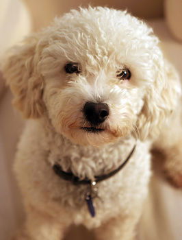 Aaron Cottage - Accommodation Kalgoorlie 10