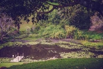 Allara Homestead - Accommodation Kalgoorlie 5