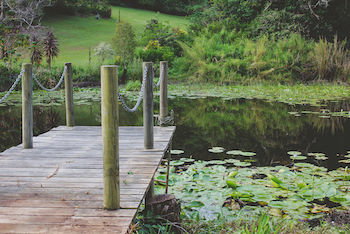 Allara Homestead - Accommodation Kalgoorlie 14