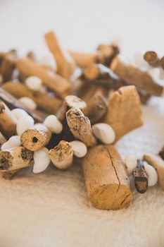 Allara Homestead - Accommodation Kalgoorlie 23