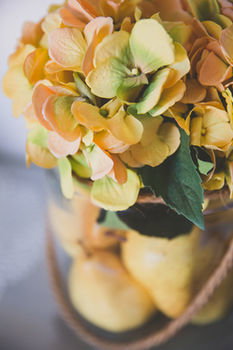 Allara Homestead - Accommodation Kalgoorlie 30