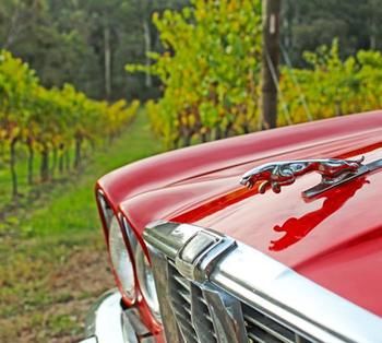 Valley Farm Vineyard Cottages - Accommodation Kalgoorlie 1