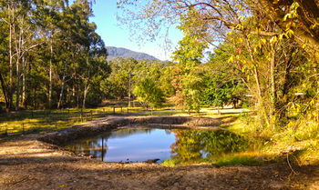 Valley Farm Vineyard Cottages - Accommodation Kalgoorlie 3