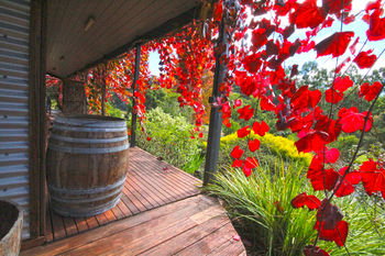 Valley Farm Vineyard Cottages - Accommodation Kalgoorlie 5