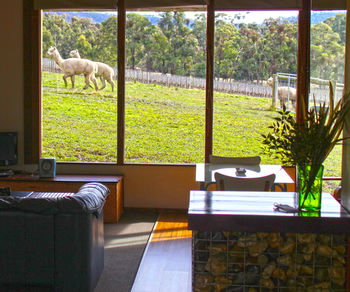 Valley Farm Vineyard Cottages - Accommodation Kalgoorlie 17