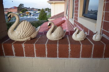 Meurants Manor Bed And Breakfast - Accommodation Kalgoorlie 15