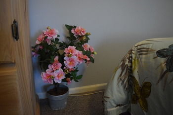 Meurants Manor Bed And Breakfast - Accommodation Kalgoorlie 42