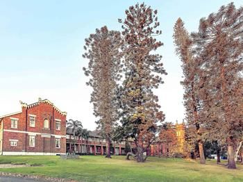 Mercure Maitland Monte Pio - Accommodation Kalgoorlie 52