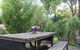 Coogee Beachside Budget Accommodation - Hostel - thumb 1