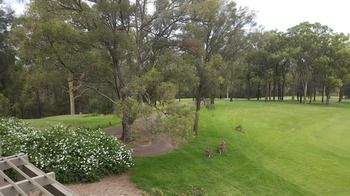 Villa Christian At Cypress Lakes Resort - Accommodation Kalgoorlie 25