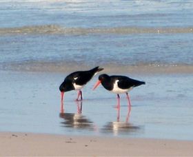 Lake Eckersley Campground - Accommodation Kalgoorlie 4