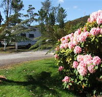 Zeehan Bush Camp  and Caravan Park - Accommodation Kalgoorlie