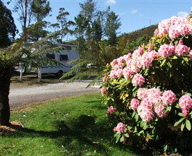 Zeehan Bush Camp  And Caravan Park - Accommodation Kalgoorlie 0