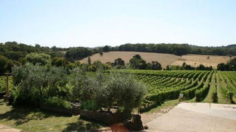 Morning Sun Vineyard - Accommodation Kalgoorlie 2