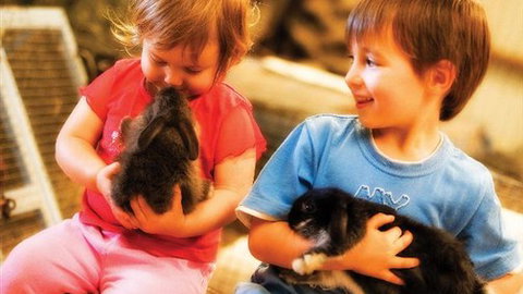 Macka's Farm - Accommodation Kalgoorlie 0