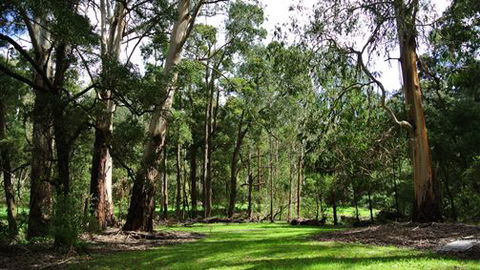 Wildwood Retreat - Accommodation Kalgoorlie 0