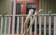 Wildwood Retreat - thumb 4