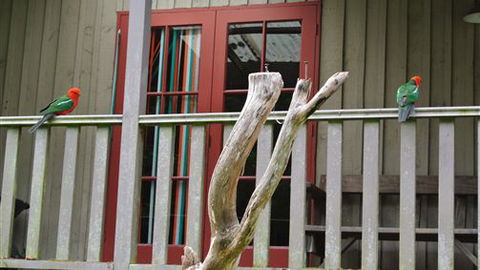 Wildwood Retreat - Accommodation Kalgoorlie 4