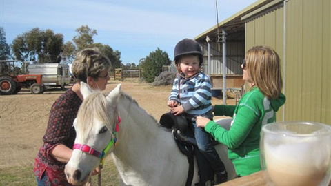 Cabarita Lodge - Accommodation Kalgoorlie 2