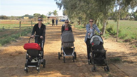 Cabarita Lodge - Accommodation Kalgoorlie 3