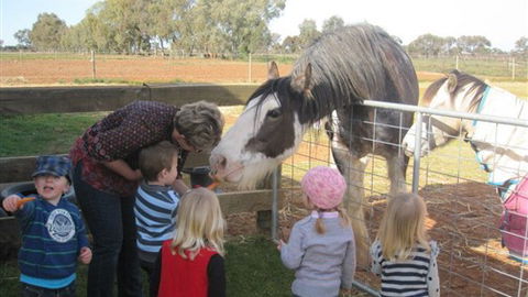 Cabarita Lodge - Accommodation Kalgoorlie 4