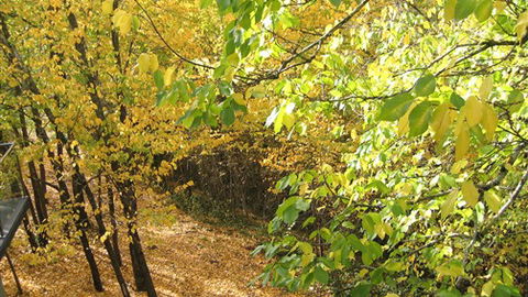 Saltus Luxury Accommodation - Accommodation Kalgoorlie 6