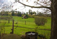 Amble Fern Studio - Accommodation Kalgoorlie 1