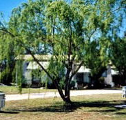 Blue Topaz Caravan Park  Camping Ground - Accommodation Kalgoorlie