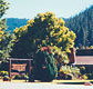 High Country Motor Inn - Accommodation Kalgoorlie