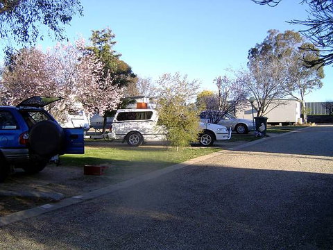 Horseshoe Motor Village Caravan Park - Accommodation Kalgoorlie 1