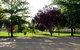 Horseshoe Motor Village Caravan Park - thumb 4