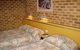 Marco Polo Motor Inn - Sydney, Summer Hill - thumb 0