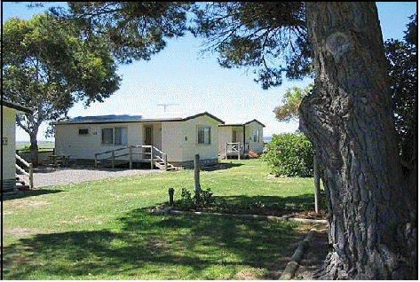 Millicent Hillview Caravan Park - Accommodation Kalgoorlie 1