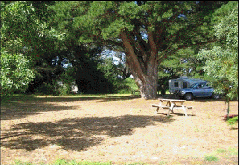 Millicent Hillview Caravan Park - Accommodation Kalgoorlie 4