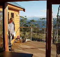 Tree House - The