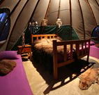 Aranyani Bison Adventure Tourist Park - Accommodation Kalgoorlie