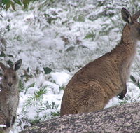 Barokee campground - Accommodation Kalgoorlie