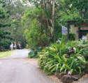 Tamborine Mountain Caravan  Camping - Accommodation Kalgoorlie